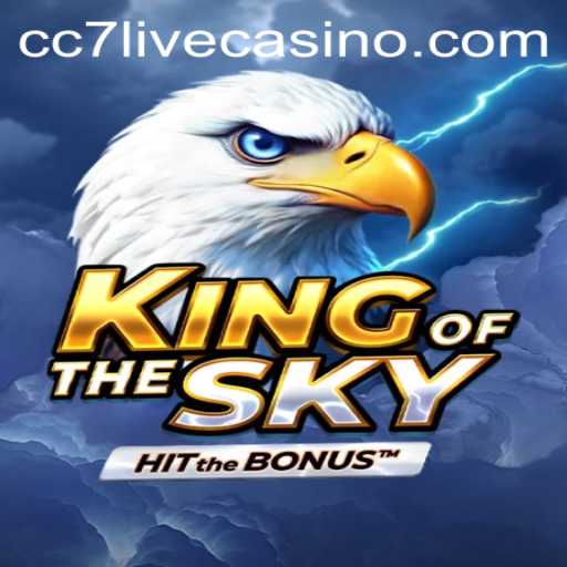 KingOfTheSky: Exploring the Skies in Gaming